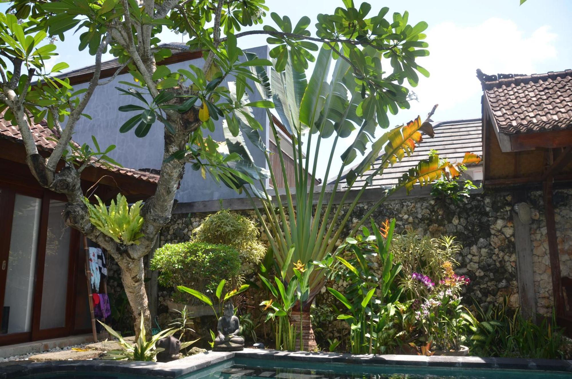 Villa Eva Canggu Εξωτερικό φωτογραφία